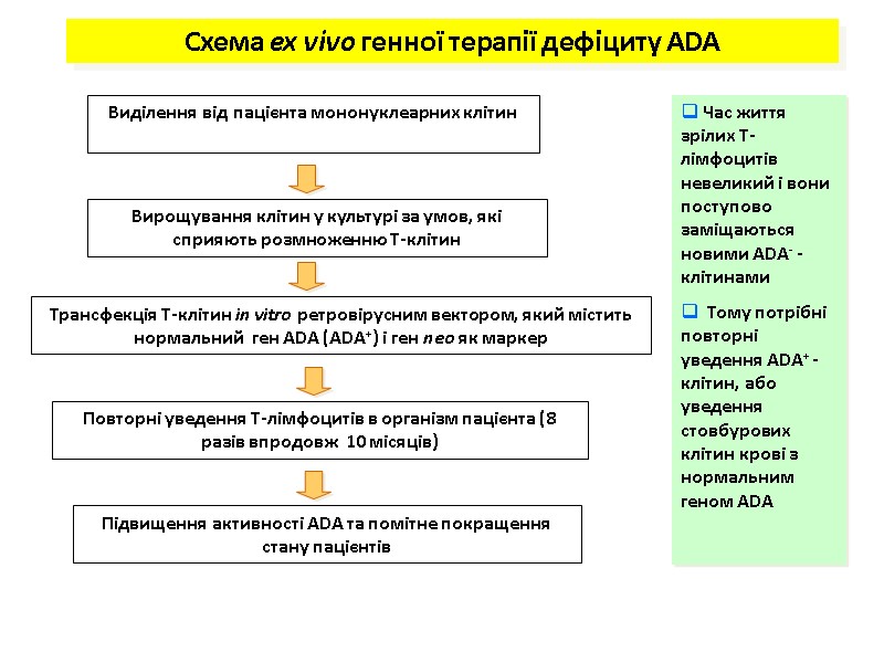 Виділення від пацієнта мононуклеарних клітин Вирощування клітин у культурі за умов, які сприяють розмноженню Виділення від пацієнта мононуклеарних клітин Вирощування клітин у культурі за умов, які сприяють розмноженню